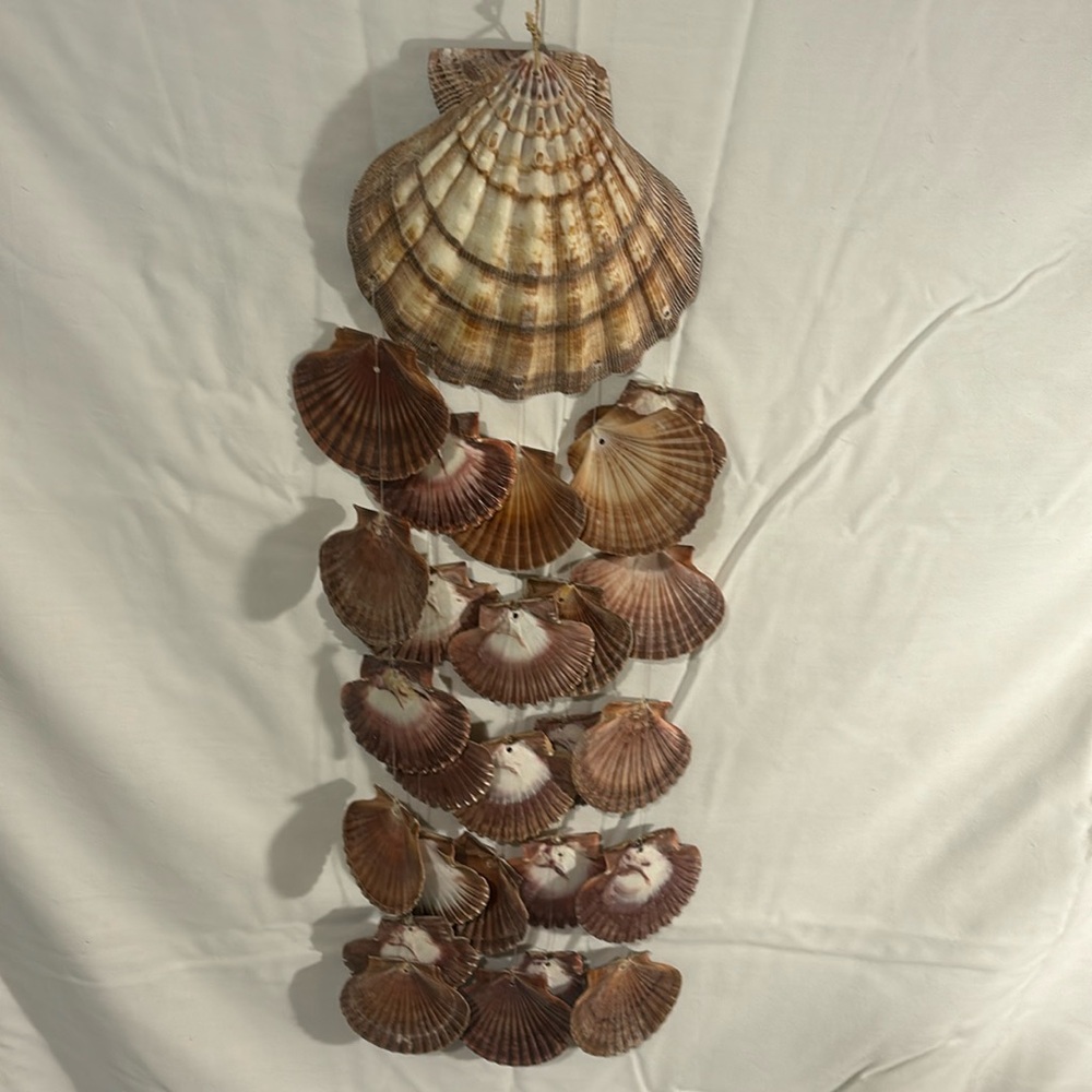 Seashell wind chime